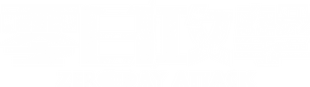Zero Day Attack logo