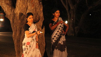 Torchlight media image