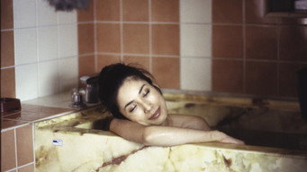 Письменник S&M (2000)