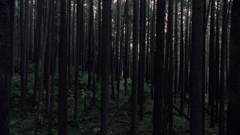 #8 Хранитель