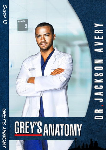 Grey's Anatomy - S13 - Poster