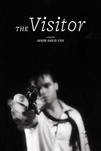 The Visitor