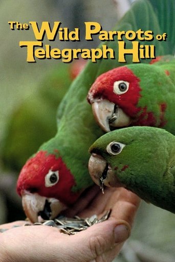 The Wild Parrots of Telegraph Hill (2003)