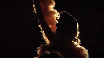 Cena 1 de Burlesque