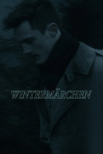 Wintermärchen galeri 6