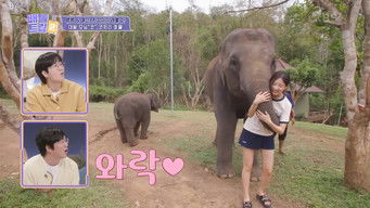 Aflevering 32 — Episode 32