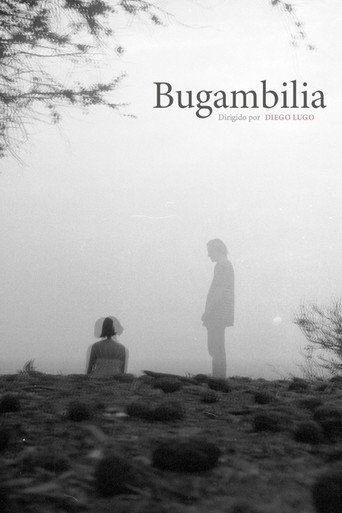 Cartell de Bugambilia