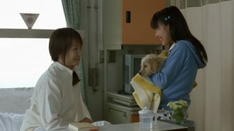 10 Promises to My Dog (2008)