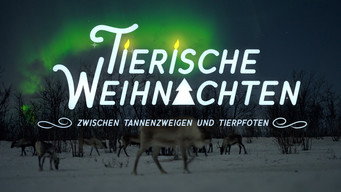 פוסטר של Tierische Weihnachten - Zwischen Tannenzweigen und Tierpfoten