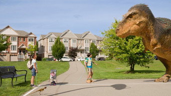 #4 Dino Dex