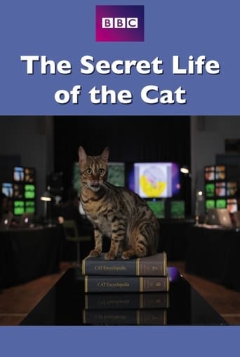 The Secret Life of the Cat