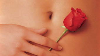American Beauty backdrop 2