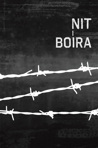 Cartell de Nit i boira