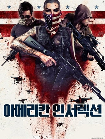 아메리칸 인서렉션