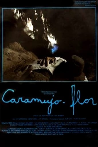 Poster för Caramujo-Flor