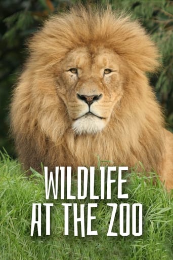 Wild Life At The Zoo 2012