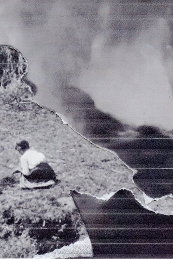 We Go Past Future (2024)