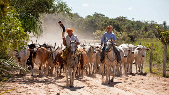 Brazil with Michael Palin (2012)