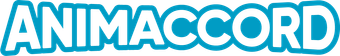 Animaccord Animation Studio