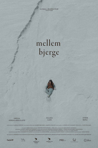 Mellem Bjerge