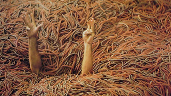 #23 Squirm