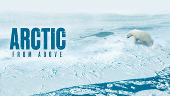 #6 Arctic from Above
