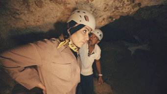 Caves