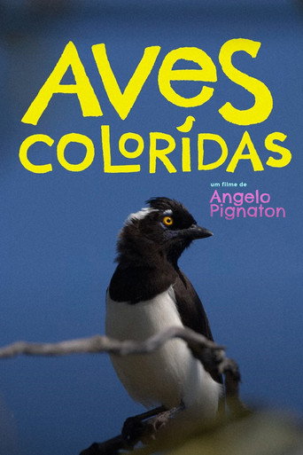 Colored Birds (2023)