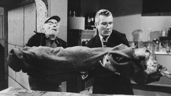 Frankenstein's Daughter (1958)