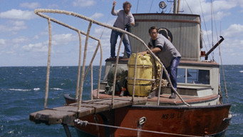 Galeria 3 - Tiburón