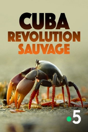 Cuba, révolution sauvage poster