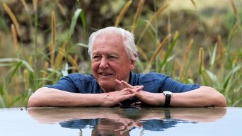 David Attenborough's Global Adventure - S1E01