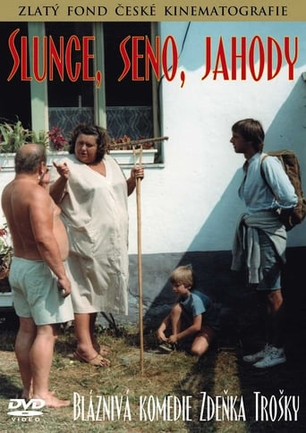 Poster of Slunce, seno, jahody