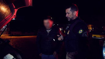 Cena de Cão Farejador