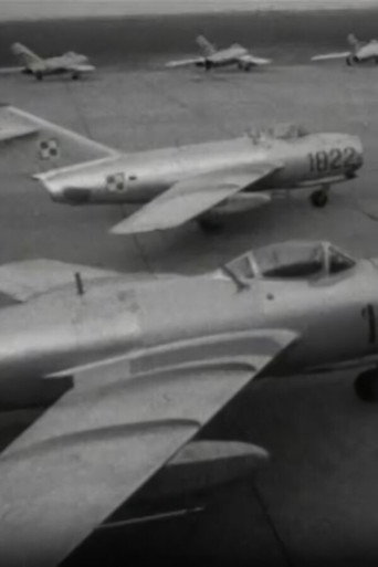 The Pilots
