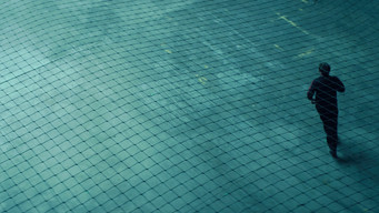 11.6 (2013)