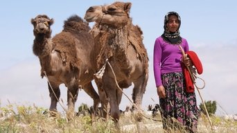Tribal Wives - S1E01