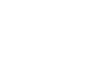 Polo logo