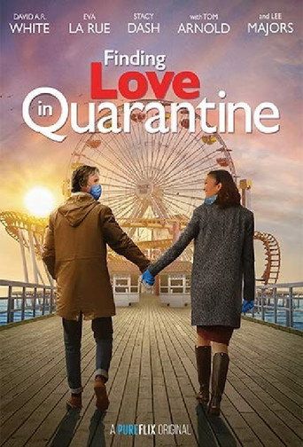 Finding Love In Quarantine poster