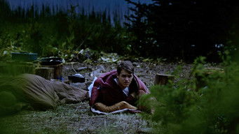 Galeria 5 - Grizzly Night