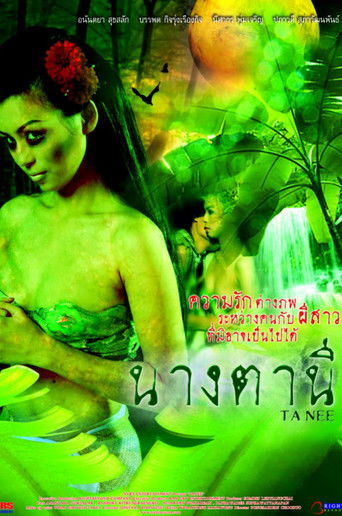 TA &ndash; NEE (2005)