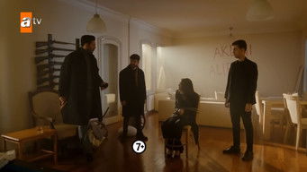 Episode 16 — Episode 37