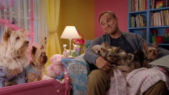 Galeria 5 - Puppy Star Christmas