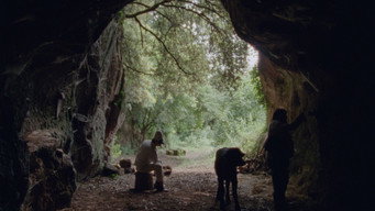 #9 Lost and Beautiful