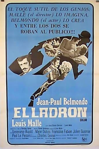 Poster of El ladrón de París