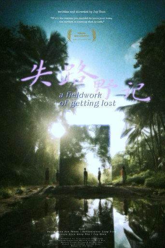 Póster de A Fieldwork of Getting Lost