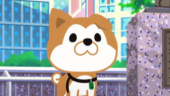 SHIBUYA♡HACHI (2024- )