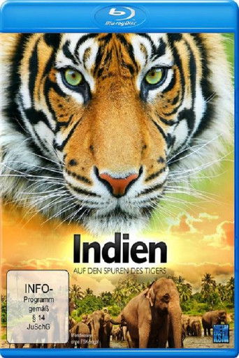 Indien - Auf den Spuren des Tigers poster