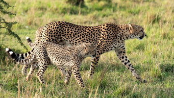 #6 Chasing the Rains