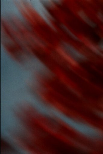 Between the Leaves poster